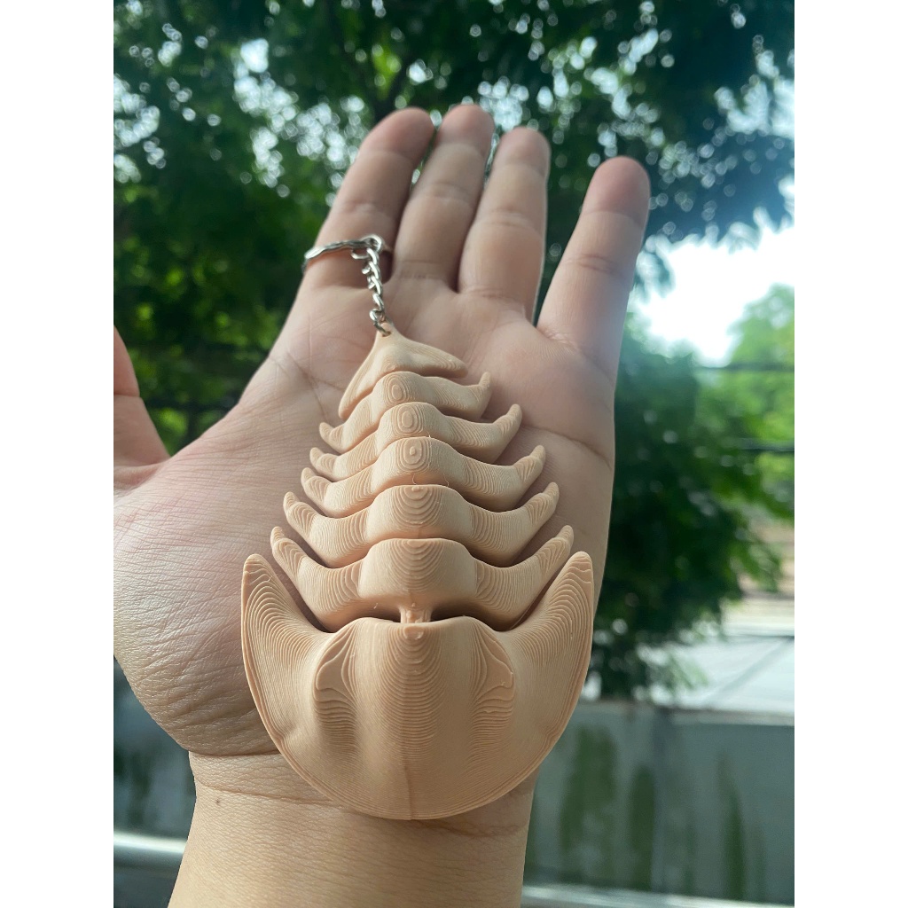 Móc Khóa Bọ Biển - Bọ Ba Thùy 3D Độc Lạ –  Khớp Linh Hoạt, Đồ Chơi Mini Giảm Stress