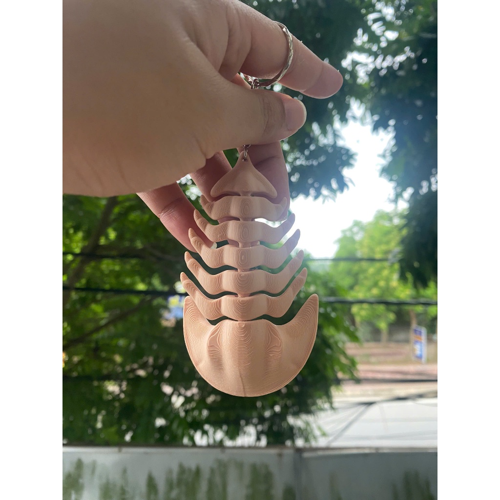 Móc Khóa Bọ Biển - Bọ Ba Thùy 3D Độc Lạ –  Khớp Linh Hoạt, Đồ Chơi Mini Giảm Stress