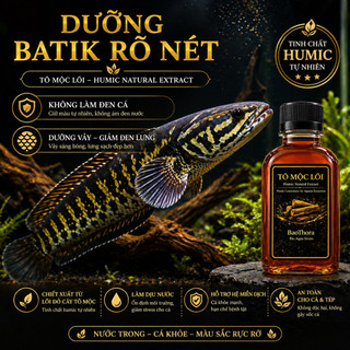 Nước Cốt Tô Mộc Lõi Đỏ Humic – Dưỡng Cá Cảnh, Betta, Cá Rồng, Ổn Định Nước Hồ Thủy Sinh