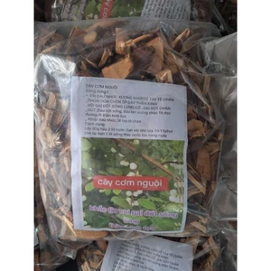 Cây cơm nguội khô