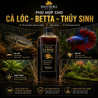 (Combo 3 Tặng 1) Nước Cốt Lá Bàng Black Water Cho Cá | Hạ PH Giảm Stress Cá Betta Cá Lóc Thủy Sinh | BaoThora Bio Aqua