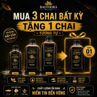 (Combo 3 Tặng 1) Nước Cốt Lá Bàng Black Water Cho Cá | Hạ PH Giảm Stress Cá Betta Cá Lóc Thủy Sinh | BaoThora Bio Aqua