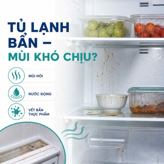 Chai Xịt Vệ Sinh Tủ Lạnh Dr. Beckmann 250ml Hữu Cơ An Toàn