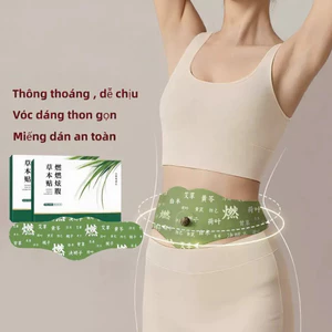 Miếng Dán Giảm Béo Thảo Dược Mugwort (Ngải Cứu) - Miếng dán thoải mái vùng bụng nâng cấp – 5 miếng dán – 1 miếng tương