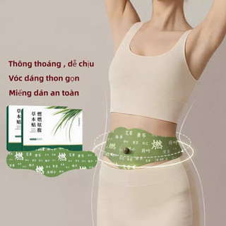 Miếng Dán Giảm Béo Thảo Dược Mugwort (Ngải Cứu) - Miếng dán thoải mái vùng bụng nâng cấp – 5 miếng dán – 1 miếng tương