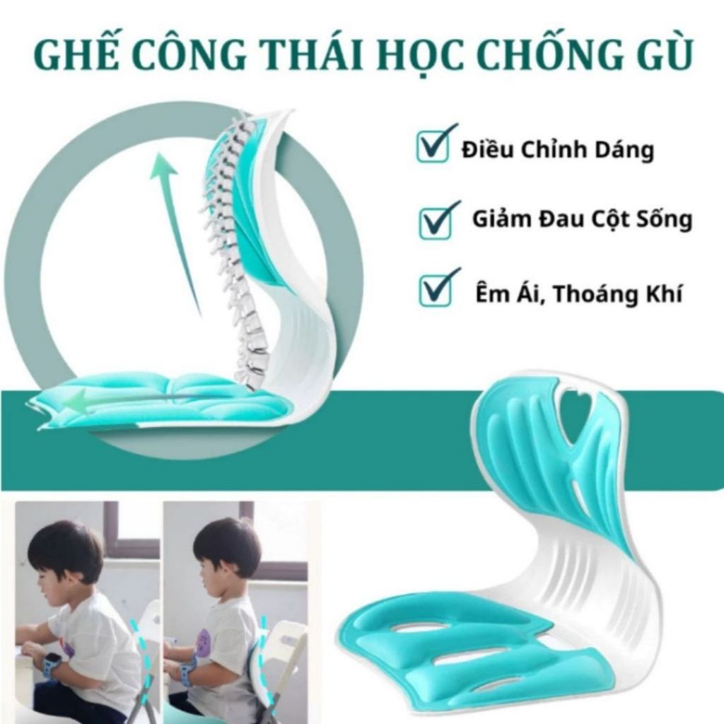 Đệm Ngồi Tựa Lưng ALO HOME  Hỗ Trợ Tư Thế Ngồi Dùng Văn Phòng Học Tập, Dùng Hàng Ngày