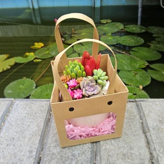 1 túi giấy/hộp quà nhiều size có sẵn tại vườn MẦM NẮNG GARDEN  lỗi 1 đền 1 (chưa kèm giấy rơm và cây)