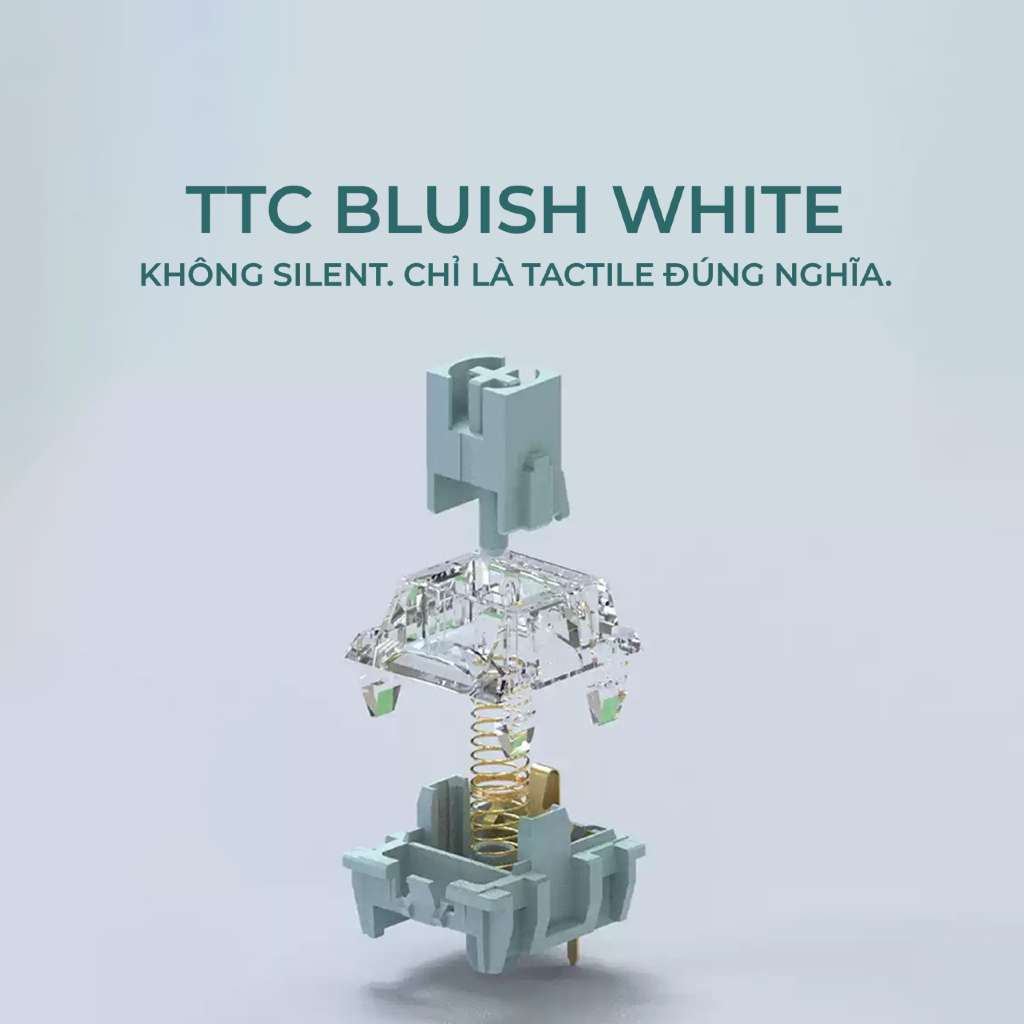 Switch TTC Bluish White | Tactile | 42±10gf | 3-pin | Pre-lube | Khấc rõ, gõ có phản hồi | BigBuy360 - bigbuy360.vn
