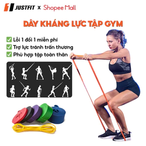 Dây kháng lực tập gym JUSTFIT cao su, giây power band trợ lực kéo xà, tập chân, mông nam nữ