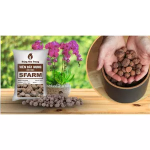 5 Dm3 Viên Đất Nung Sfarm Trồng Rau, Củ, Quả, Lót Chậu,... ( size 5-10cm)