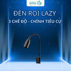 Đèn Rọi Mini 3 Chế Độ Chỉnh Tiêu Cự Cho Bể Thủy Sinh, Bể Biotope (3w)