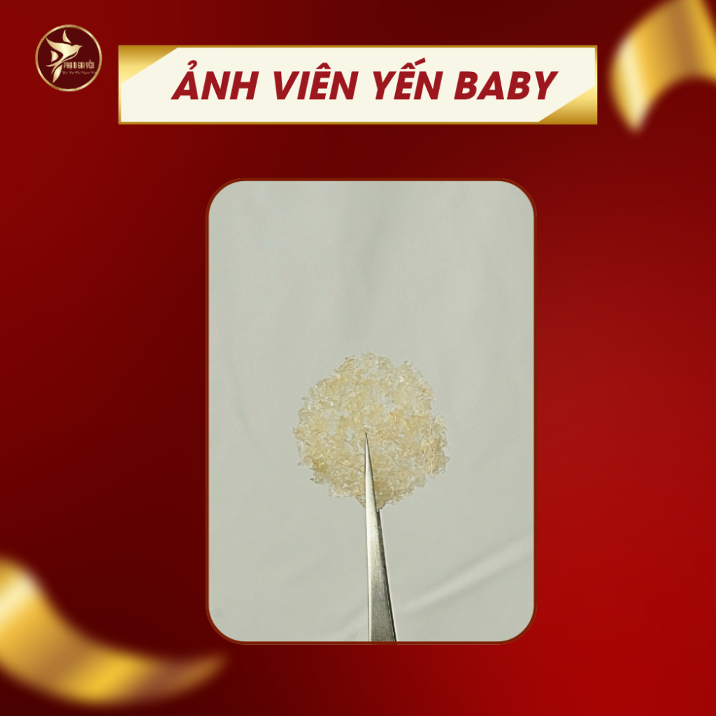 Yến Vụn Đắp Tổ Dạng Viên Baby Dùng Thử 10 Gram Nguyên Chất 100% - Yến Sào Phạm Gia
