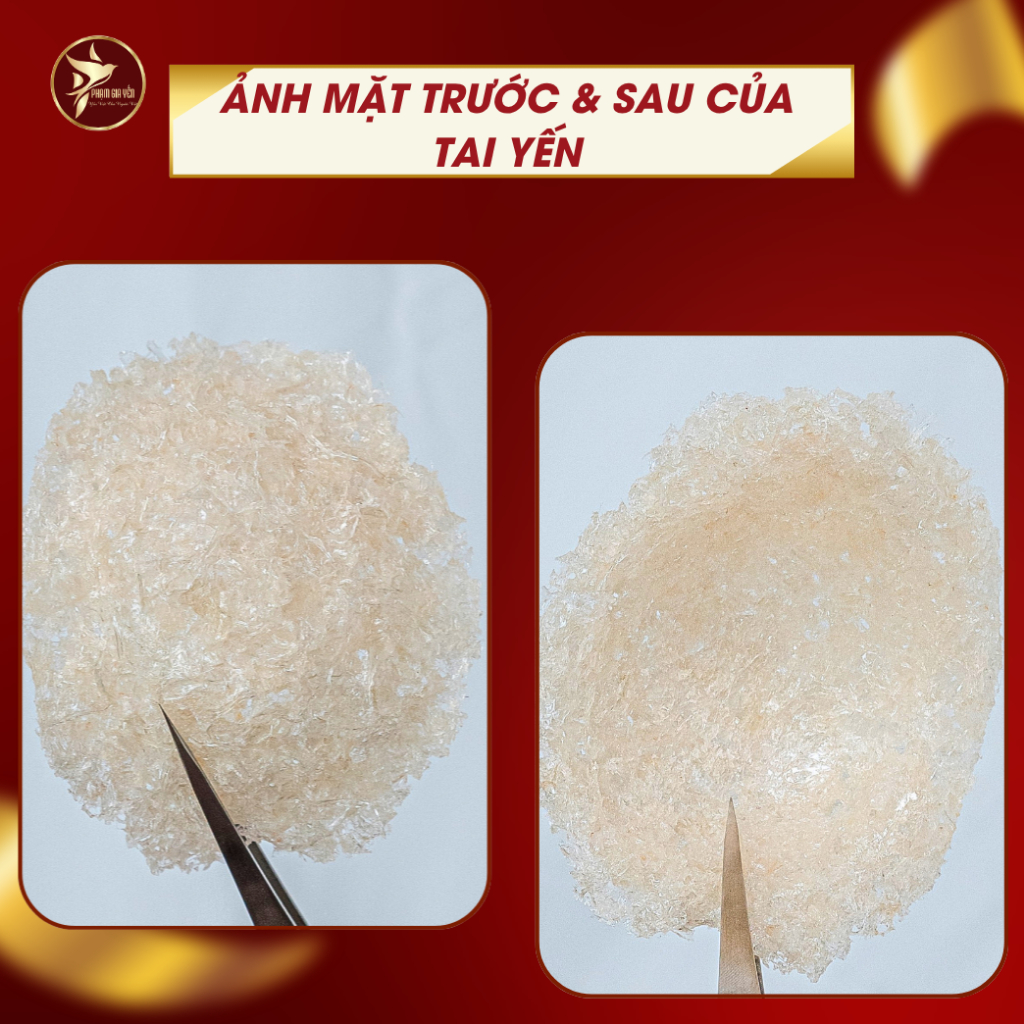 Yến Vụn Đắp Tổ Nguyên Chất 100% Không Pha Trộn Đường - Yến Sào Phạm Gia - Yến Tinh Chế YETC 002