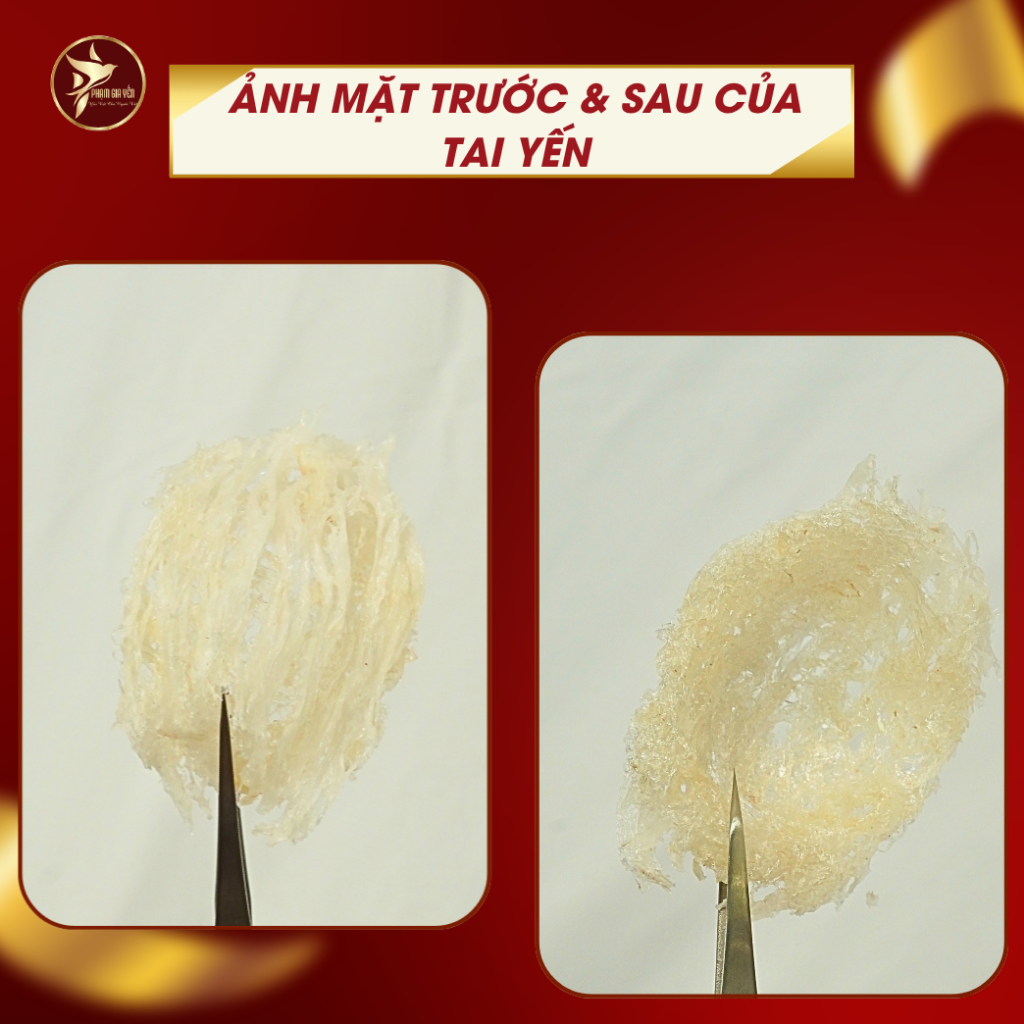 Tổ Yến Tinh Chế Loại 18-20 Tai Nguyên Chất 100% - Không Pha Độn Trộn Tạp Chất  - Yến Sào Phạm Gia - Yến Tinh Chế