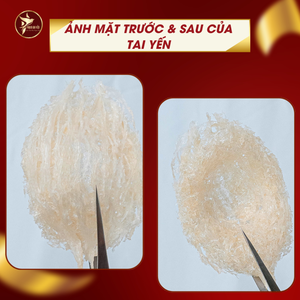 Tổ Yến Tinh Chế Sợi Nguyên Chất 100% - Không Tẩy Trắng , Pha Độn Tạp Chất - Yến Sào Phạm Gia - Yến Tinh Chế