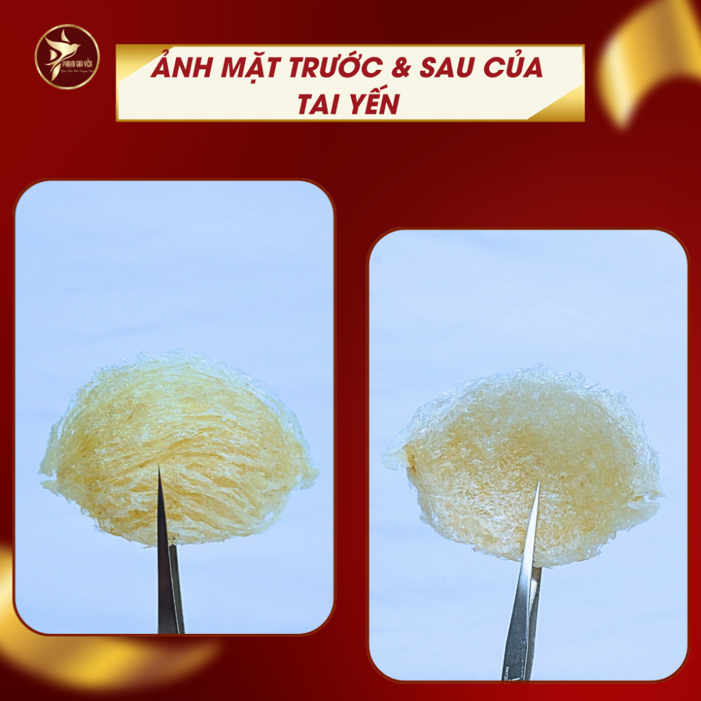 Yến Sào Rút Lông Nguyên Tổ Nguyên Chất 100% - Yến Sào Phạm Gia