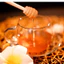 Mật Ong Nguyên Chất Hoa Cà Phê, Mật Hoa Cafe 500ml, Mật Ong Xuân Lộc