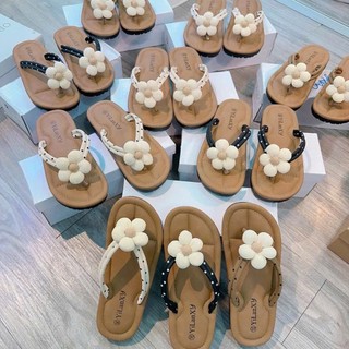 [FORM NHỎ TĂNG 1 SIZE] Dép Xỏ Ngón Siêu Mềm, Êm Chân, Thoải Mái Cho Nữ Đi Biển Hè T284