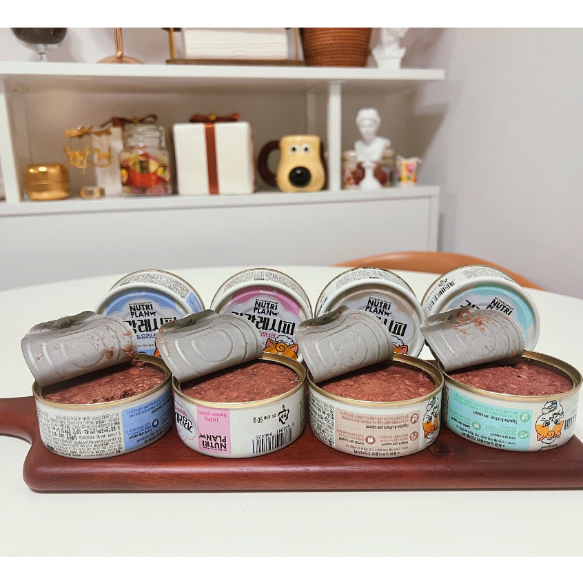 Pate Nutri Plan Health Recipe 90g Cho Mèo Pate Chức Năng Hàn Quốc Hỗ Trợ Tiêu Hóa Lông Da Tiết Niệu