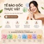 COMBO 10 Miếng Mặt Nạ BANOBAGI Stem Cell Vitamin Mask Dưỡng Da Chuyên Sâu Dành Cho Mọi Loại Da 30ml