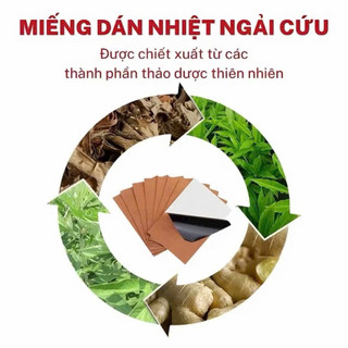 Cao dán ngải cứu 50 miếng 1 túi date 2028