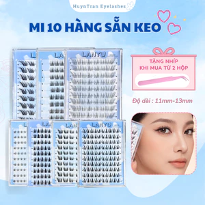 Mi giả sẵn keo HỘP LỚN 10 hàng có sẵn keo tự nhiên không kích ứng có thể tái sử nhiều lần mi tự dính