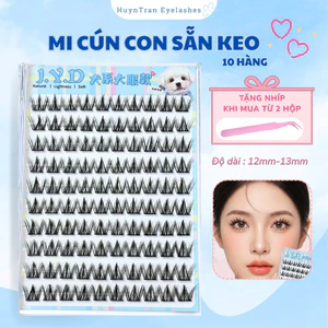 Mi giả sẵn keo mi cún con jyd eyelashes 10 hàng dễ sử dụng mi tự nhiên không kích ứng mi trang điểm