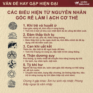 Trà Lá Nam - Hapufarm -  Thanh lọc thân thể, giảm tích tụ vùng bụng eo, giúp nhẹ bụng dễ tiêu - Bịch 30 túi lọc