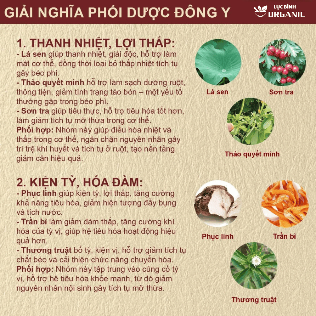 Trà Tiêu Thực - Thanh Lọc Cơ Thể, Giảm Tích Trệ Bụng Eo, Nhẹ Bụng Dễ Tiêu, Ăn Uống Thoải Mái, Bịch 30 Túi Lọc