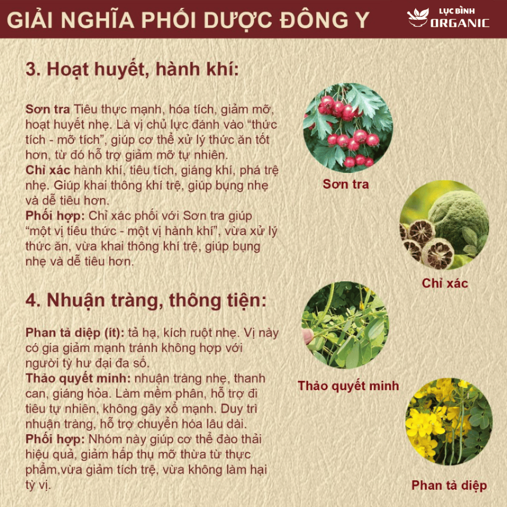 Trà Tiêu Thực - Thanh Lọc Cơ Thể, Giảm Tích Trệ Bụng Eo, Nhẹ Bụng Dễ Tiêu, Ăn Uống Thoải Mái, Bịch 30 Túi Lọc