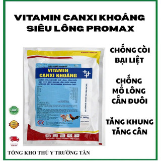Vitamin khoáng 1kg trộn thức ăn, tăng khung, ra lông, chống bại liệt, mổ lông, căn đuôi gà, vịt,heo