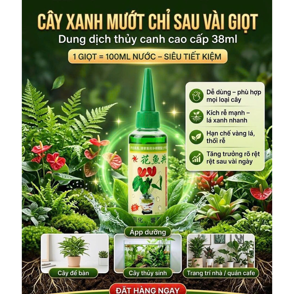 Dung dịch thuỷ canh cao cấp giúp cây phát triển toàn diện