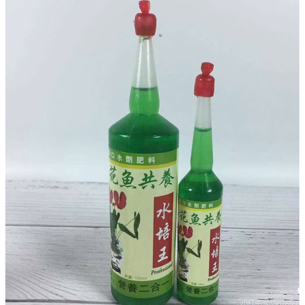 Dung dịch thuỷ canh cao cấp giúp cây phát triển toàn diện