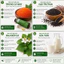 GIÁ ƯU ĐÃI 02 Serum Diếp cá