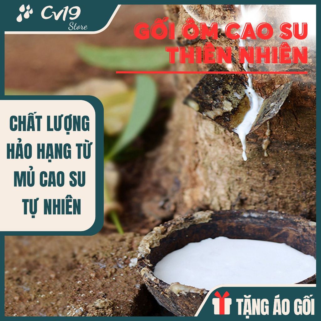 [GỐI ÔM] Cao su non thiên nhiên đúc nguyên khối, đàn hồi, êm ái, thông thoáng, kháng khuẩn