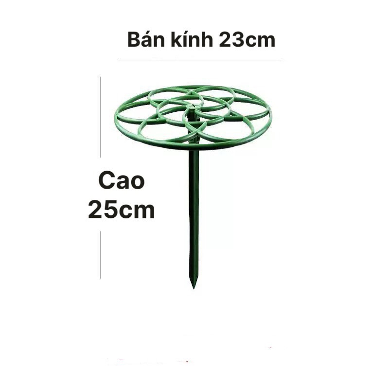 Combo 5 chiếc giá đỡ hoa mười giờ giá rẻ tiết kiệm