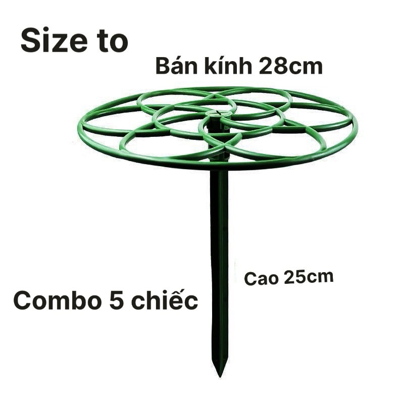 Combo 5 chiếc giá đỡ hoa mười giờ giá rẻ tiết kiệm