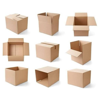 tặng hộp bìa carton bảo vệ giày sneaker đế thấp