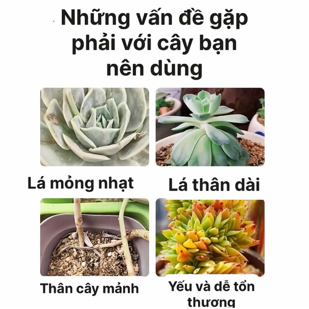 Thuốc làm nảy mầm , xanh lá , bật chồi dạng xịt trực tiếp nhanh chóng tiện lợi ( nội địa trung)