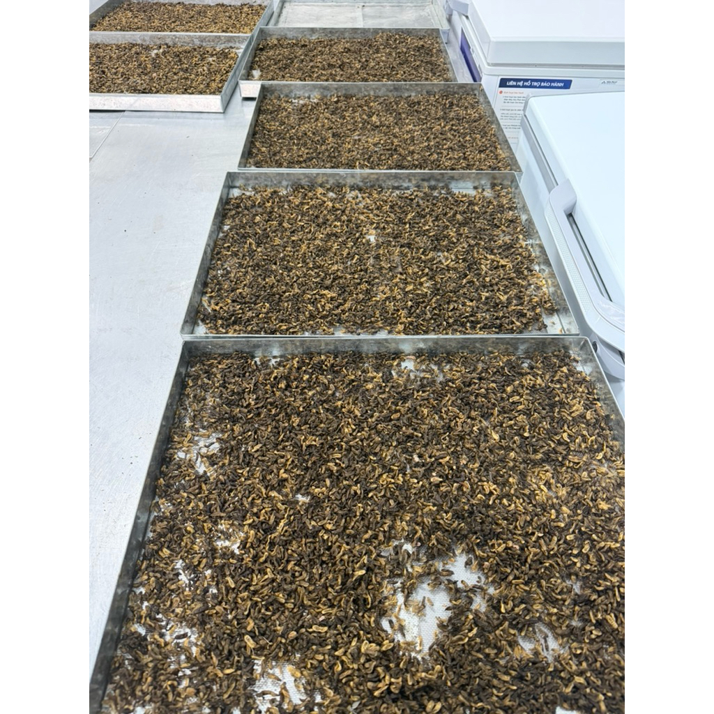 Sâu Canxi Sấy Khô Cho Gà, Cá, Chim, Hamster, Bò Sát – Thức Ăn Giàu Đạm & Canxi Giúp Tăng Trưởng Nhanh
