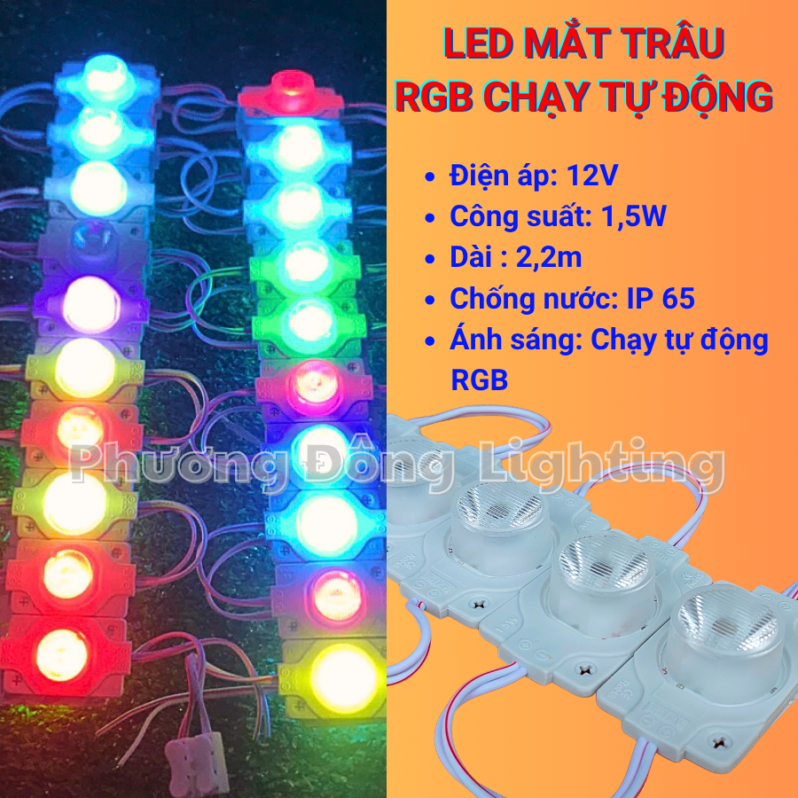 Đèn LED Rọi - Đèn LED Mắt Trâu - Mắt Lồi 12V  Chạy Tự động RGB 1.5W Siêu Sáng