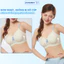 Áo Ngực Áo Lót Bra Nữ Su Đúc Họa Tiết Xinh Xắn Mút Mỏng Không Gọng Thoáng Mát Gom Quả Chống Xệ ZANABRA A967