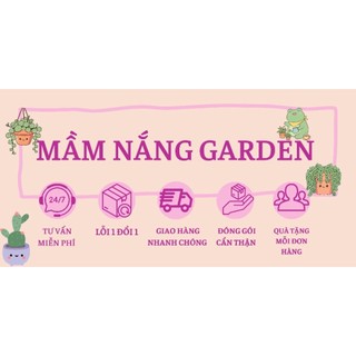 Chậu Đất Nung Trắng 11x6cm Dáng Bầu Trồng Sen Đá, Xương Rồng – MẦM NẮNG GARDEN