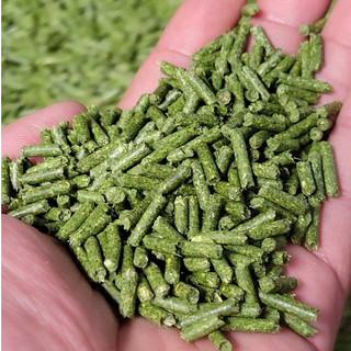 Cỏ Alfalfa Mỹ Ép Viên NHƯ TRƯƠNG - Cám Cỏ Giúp Gà ,Hamster, Bọ Ú, Thỏ Mát Gan, Mượt Lông, Tăng Cơ