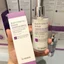 Tinh chất huyết thanh tế bào gốc thực vật Dr.Hedison Plant Stem Cell Repair Ampoule Serum