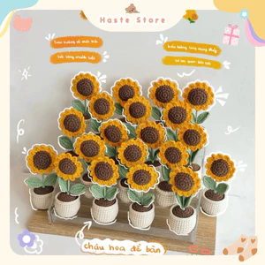Chậu Hoa Len Tổng Hợp Hướng Dương Heo Thỏ Để Bàn Trang Trí Bàn Làm Việc Bàn Học Dễ Thương Handmade Made by Haste