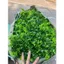 Túi 100g Cỏ Điểm Cành Táo Dài Điểm Hoa Sáp, Hoa Lụa, Oản, Giỏ Trái Cây, Giỏ Quà DUHA 106
