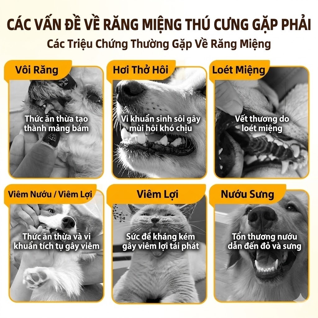 Cassiel Pet Miệng Cho Thú Cưng Xịt Làm Sạch Răng Thích Hợp Cho Hôi Miệng Loét Miệng Và Viêm Nướu Chung Cho Mèo Và Chó