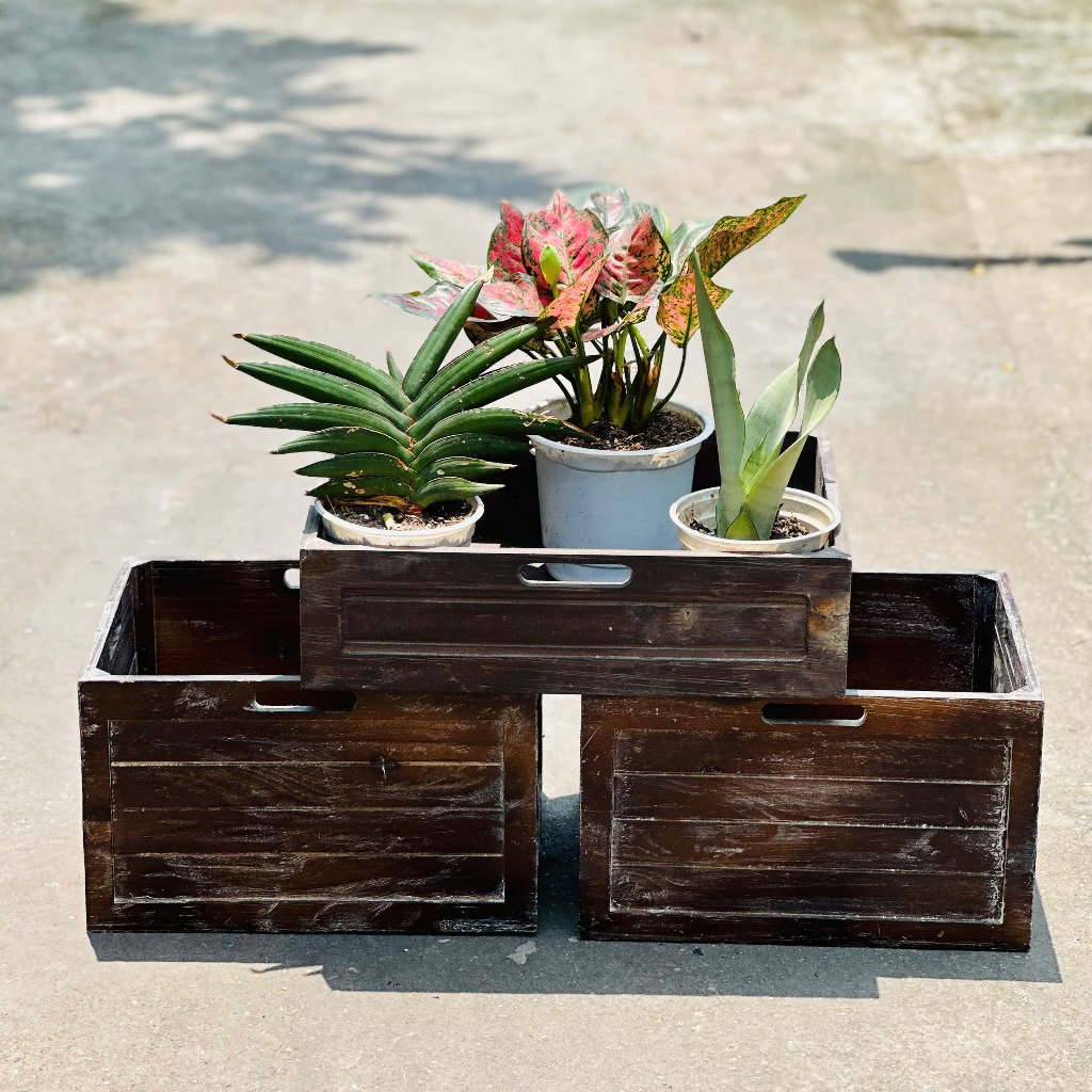 Thùng gỗ thông trang trí nhiều kích thước, hộp gỗ đa năng, gọn gàng, bền đẹp | BigBuy360 - bigbuy360.vn