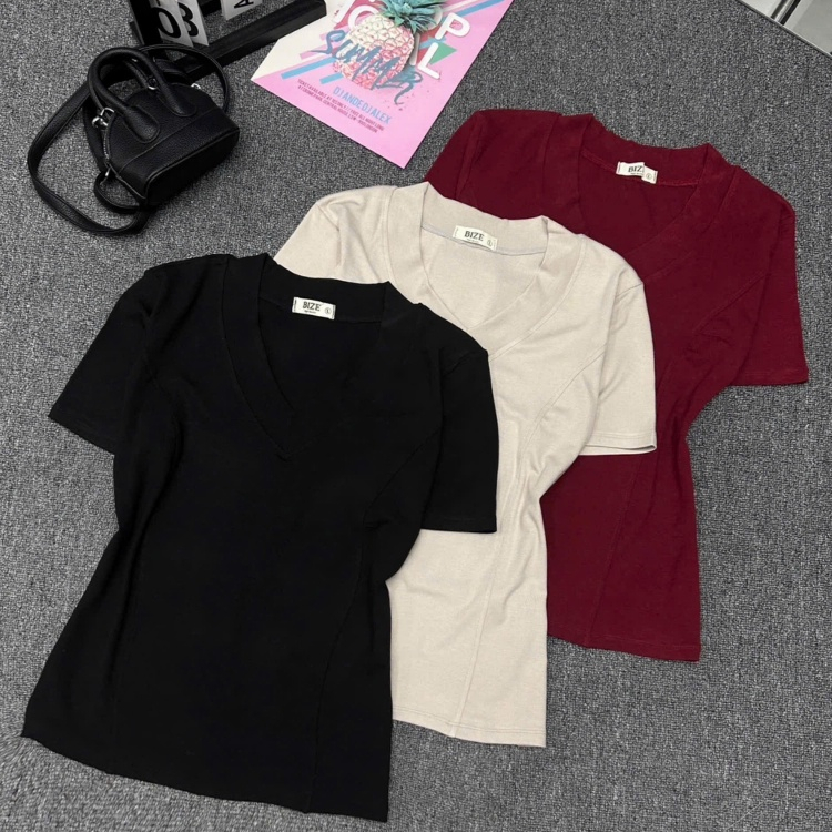 Áo Thun Nữ Cổ Tim Borip Form Ôm Body Chất Borip Co Giãn Big Size 55-90Kg AT9006 Dieu Trang Fashion